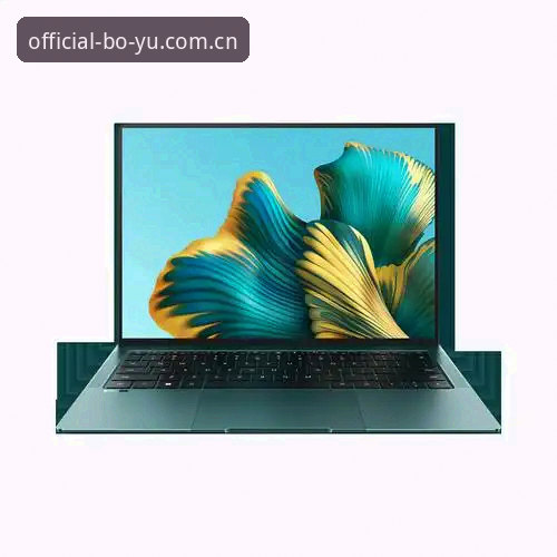博鱼APP电脑客户端教程 博鱼APP电脑客户端教程 vs 浏览器直登:博鱼app平台PC端方案如何选?