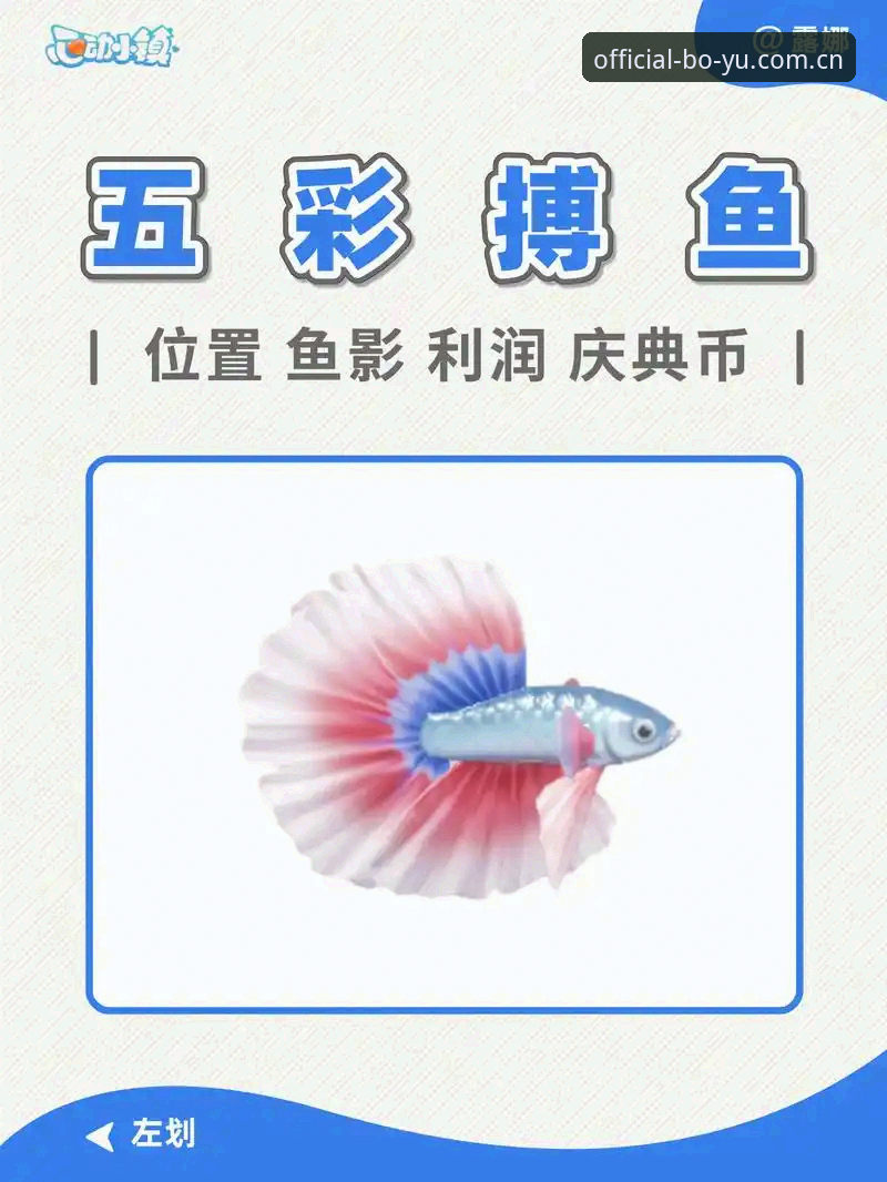 博鱼老用户亲测：最新版本下载安装全流程体验分享