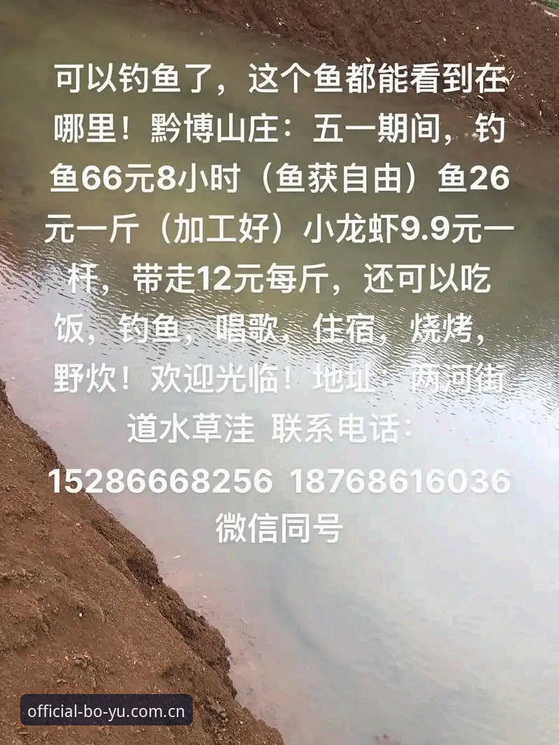 博鱼老用户亲测：最新版本下载安装全流程体验分享